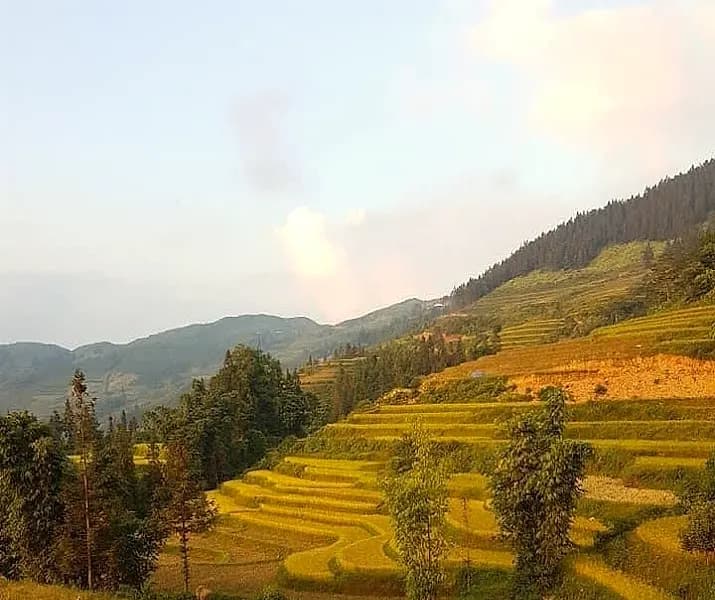 Sapa Mystical Terraces & Culture