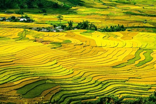 Mu Cang Chai - the most picturesque of rice terraced field in Vietnam