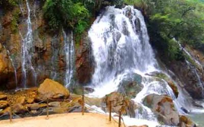 A good trip enjoyed by us all