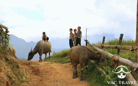 North Vietnam Experience 08 Days