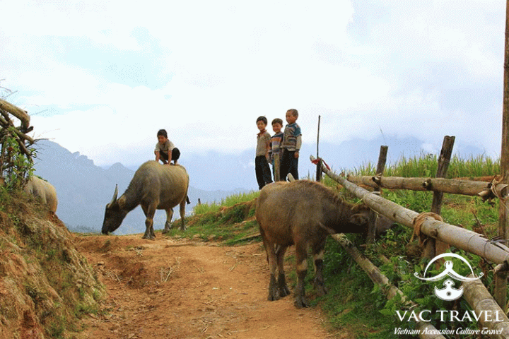 North Vietnam Experience 08 Days