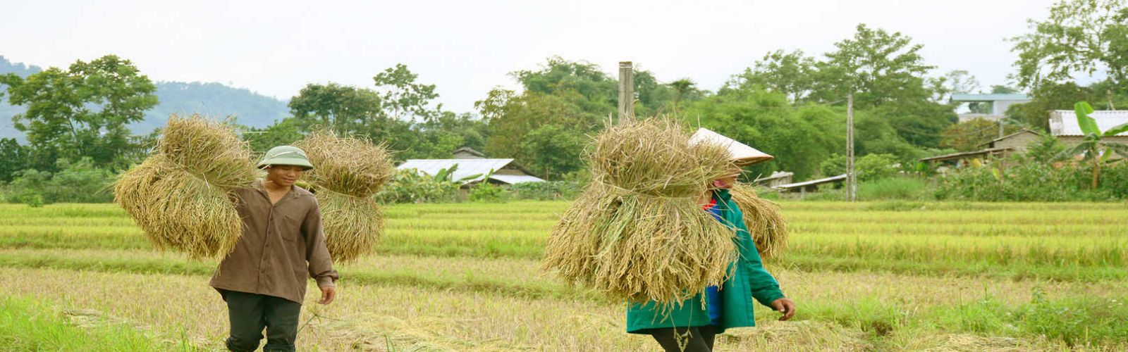 Vietnam Adventure Tours