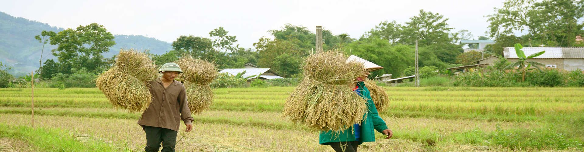 General Information in Cambodia