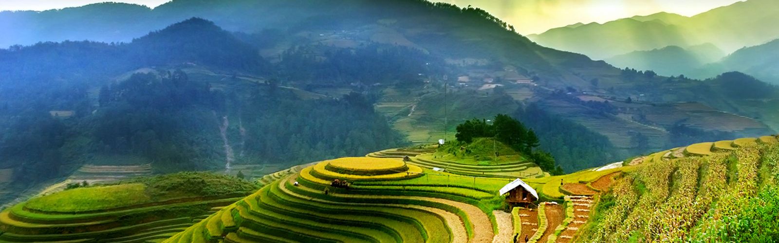 Private & Customized Tours
