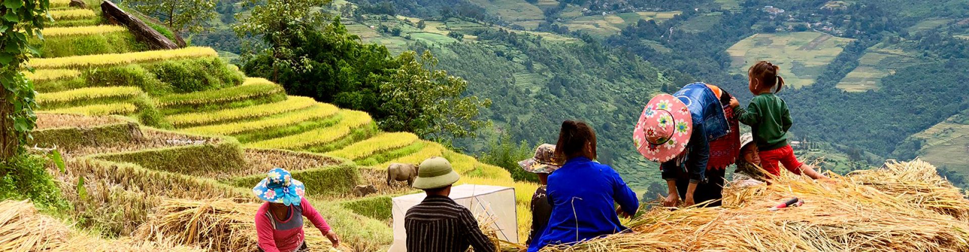 Blog inVietnam